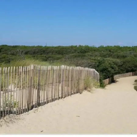 Havre De Paix 4 Etoiles, 2 Pieces Calme Et Lumineux A 100 Metres De La * Saint-Georges-de-Didonne